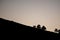 Silhouettes of pines in Calar de la Boleta in the Sierra de Baza Natural Park.