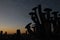Silhouettes of pipes against the background of the city buildings and the sky at sunset.