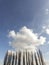 Silhouettes of poplars against cloudy blue sky, copy space