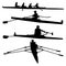 Silhouettes of rowing athletes vector