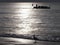 Silhouettes Rowing boat at dusk, in backlight, ai the North Sea with seagull