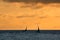 Silhouettes of sailing dhows off the coast of Zanzibar at sunrise