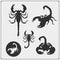 Silhouettes of a scorpion. Scorpions emblems and icons. Print design for t-shirt. Tattoo design.