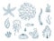 Silhouettes of sea life outline isolated on white background. Vector Hand drawn illustrations of engraved line.