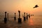 Silhouettes of sea piers