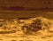 Silhouettes of seabirds flying above rough ocean sea water background. Sepia colour.