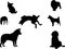 Silhouettes of several dogs