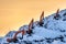 Silhouettes of several excavators working on a huge mountain in a garbage dump