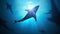 Silhouettes of sharks underwater in ocean against bright light. 3D rendered illustration.