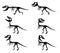 Silhouettes of the skeleton of a Tyrannosaurus rex