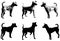 Silhouettes and sketch illustration of mini pincher dog