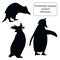 Silhouettes of a southern american rockhopper penguin standing, leaning, raising wings