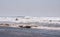 Silhouettes of surfers on the beach of the Pacific Ocean