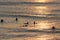 Silhouettes of surfers waiting for a wave near the beach at sunset