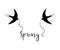 Silhouettes of swallows with the text `Spring`