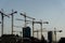 Silhouettes of tall construction cranes