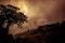 Silhouettes of tree against dark sky on tranquil nature background.