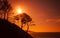 Silhouettes of trees on coast of Gibraltar strait, Morocco