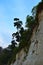 Silhouettes of Trees on Mountain against Background of Blue Sky