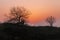 Silhouettes of trees at sunset, visible sun and colorful sky.