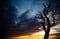 Silhouettes of trees at sunset. Withered tree against the backdrop of the sun.