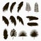 Silhouettes of tropical and palm leaves. Set of isolated jungle exotic plants leaf. Hand drawn monochrome illustration.