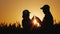 Silhouettes of two farmers in a wheat field looking at ears of corn