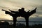 Silhouettes of two fighters with high kick motion