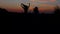 Silhouettes two girls jumping hands up hight five