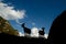 Silhouettes of two goats in the mountains