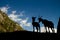 Silhouettes of two goats in the mountains