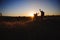 Silhouettes of two hikers with backpacks walking at sunset. Trekking and enjoying the sunset view.