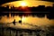 Silhouettes of two swans on the lake at sunset.