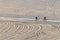 Silhouettes of two unrecognizable bikers riding their bicycles in a beach bike path.