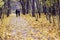 Silhouettes of two unrecognizable girls, walk in the autumn park. Seasons, nostalgic mood, friendship concept