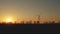 Silhouettes of wind turbine generators and trees in a field at sunset