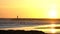 Silhouettes of windsurfers at the sunset. Spain