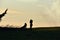 Silhouettes of a young photographer next to another woman sitting admiring the beauty of a large fir tree