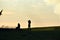 Silhouettes of a young photographer next to another woman sitting admiring the beauty of a large fir tree