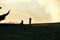 Silhouettes of a young photographer next to another woman sitting admiring the beauty of a large fir tree