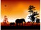 Silhouettte of animal wildlife