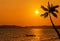 Silhoutte coconut palm trees with fisherman boat in the sea on sunset