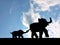 Silhoutte of elephants