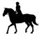 Silhoutte of horse gait and jockey, equestrian sports. Vector illustration