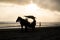 Silhoutte of horse riding on the beach