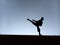 Silhoutte of a martial artist kicking