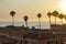 Silhoutte of the palm trees against the sunset at the beach in Oceanside, California
