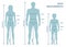 Silhouttes of man, women and boy in full length with measurement lines of body parameters .