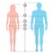 Silhuettes of man and women in full length with measurement lines of body parameters. Human body measurements and proportions.