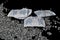 Silica gel isolated on black background